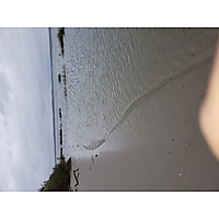 King tide Yorktown image